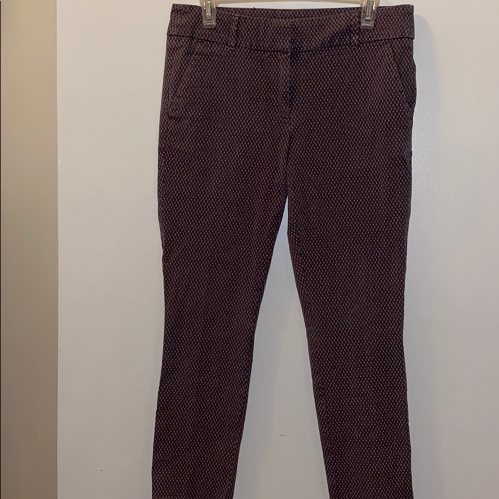 NWT Loft pants